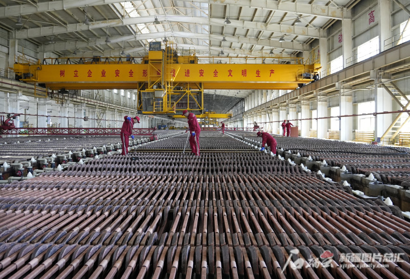 新疆五鑫銅業(yè)上半年產(chǎn)量同比增長(zhǎng)20.48%_騰訊新聞