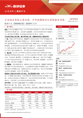 2025年上半年業績點評 巨龍銅業成核心引擎，半年報高分紅彰顯股東回報決心